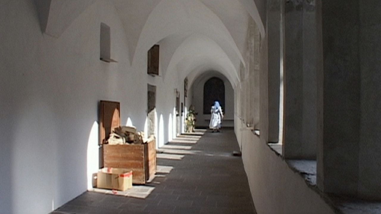 Wir können nicht den hellen Himmel träumen : Bild