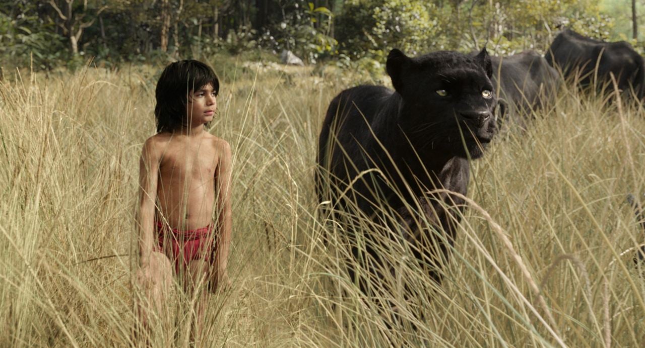 The Jungle Book : Bild Neel Sethi