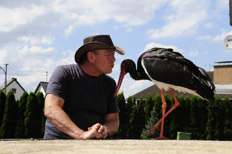 Birds & People - Ganz verrückt auf Vögel : Bild Franz Alfred Weinand