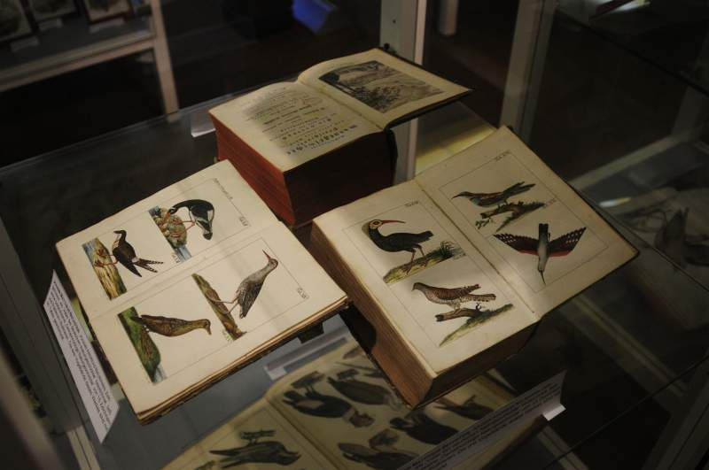 Birds & People - Ganz verrückt auf Vögel : Bild