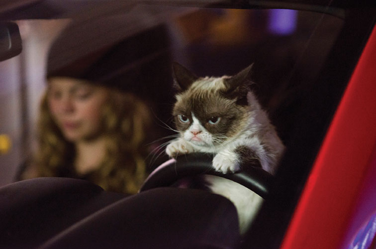 Grumpy Cat’s miesestes Weihnachtsfest ever : Bild