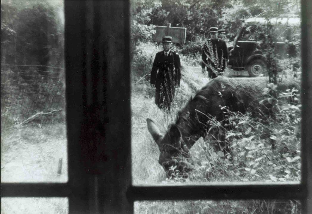 Zum Beispiel Balthasar : Bild