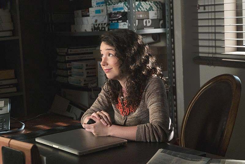 Good Wife : Bild Sarah Steele