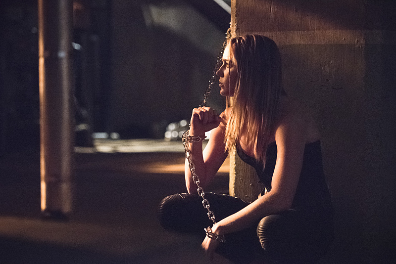 Arrow : Bild Caity Lotz