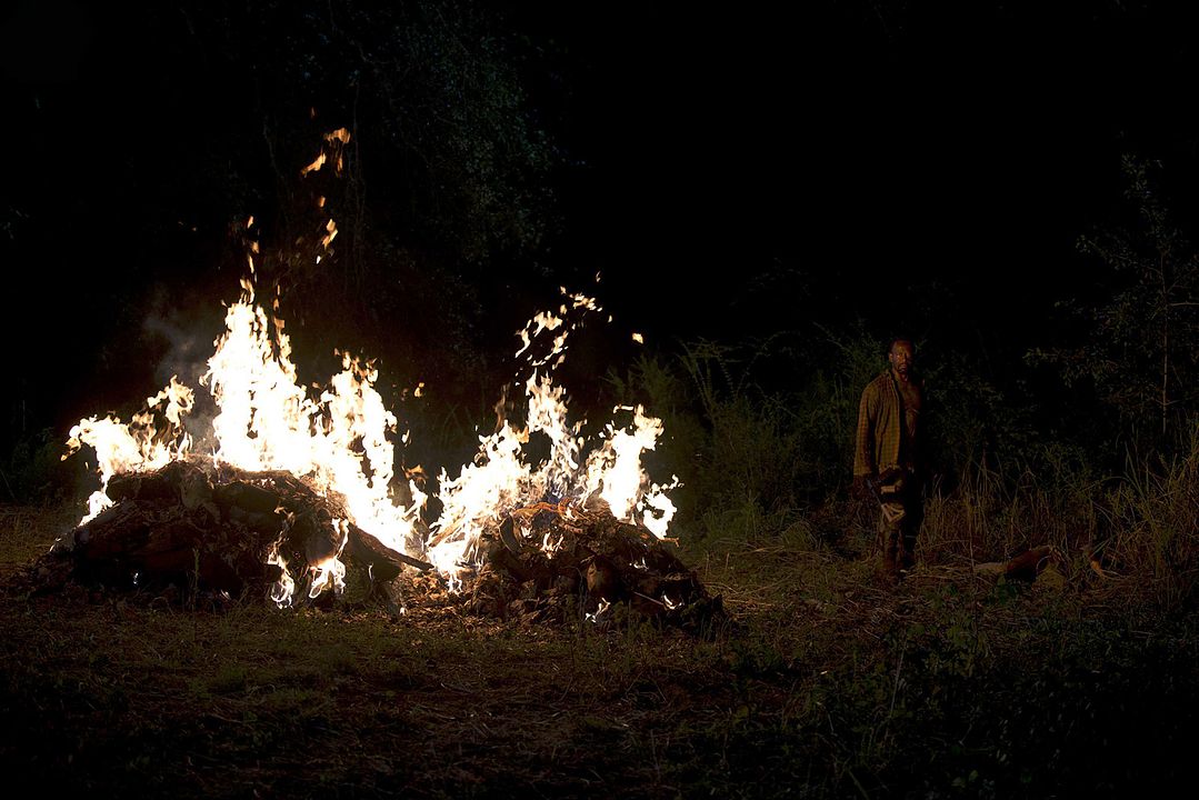 The Walking Dead : Bild Lennie James