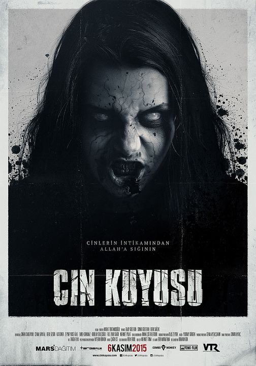 Cin Kuyusu : Kinoposter