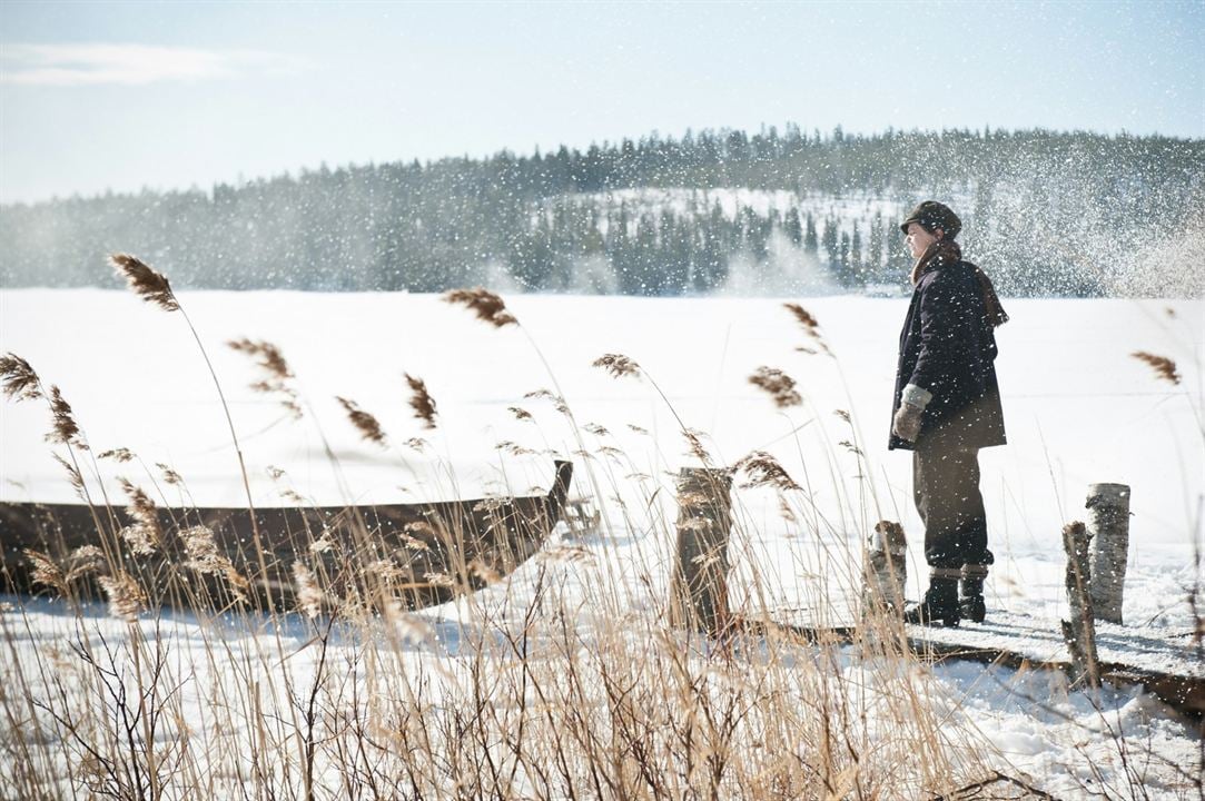 Die Schneekönigin : Bild