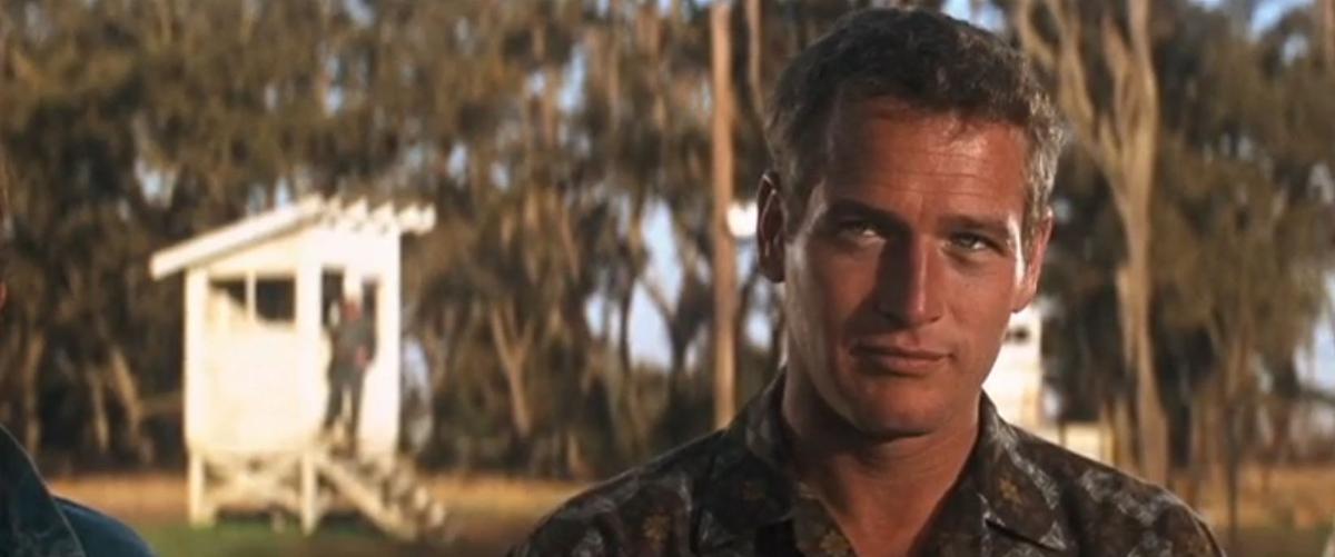 Der Unbeugsame : Bild Paul Newman