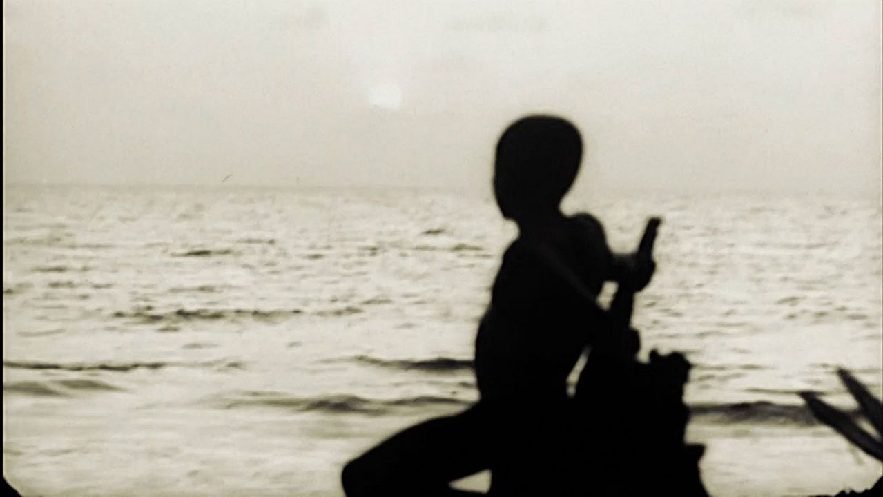 Un día vi 10.000 elefantes : Bild