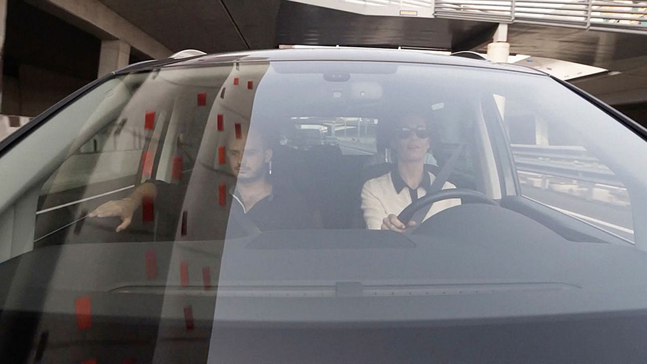 Un día vi 10.000 elefantes : Bild