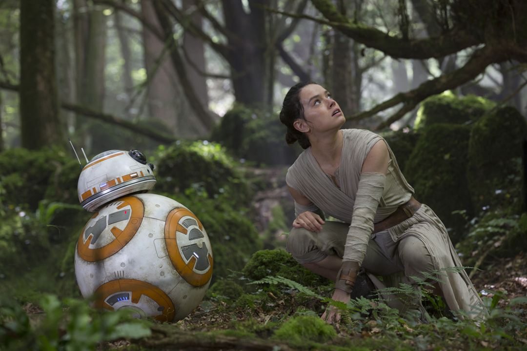 Star Wars 7: Das Erwachen der Macht : Bild Daisy Ridley