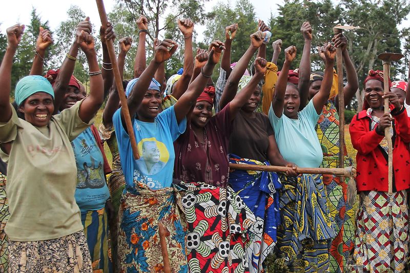 Voices Of Violence - Stimmen der Gewalt : Bild