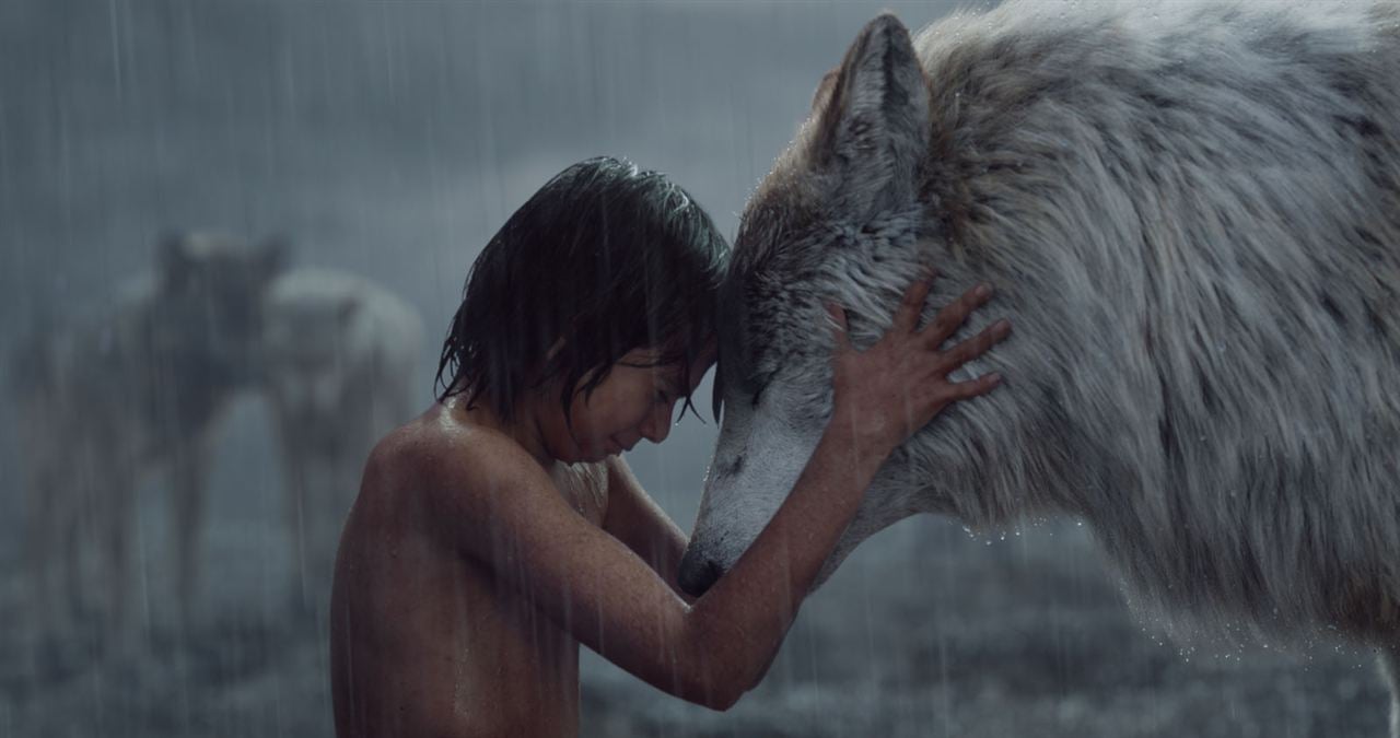 The Jungle Book : Bild Neel Sethi