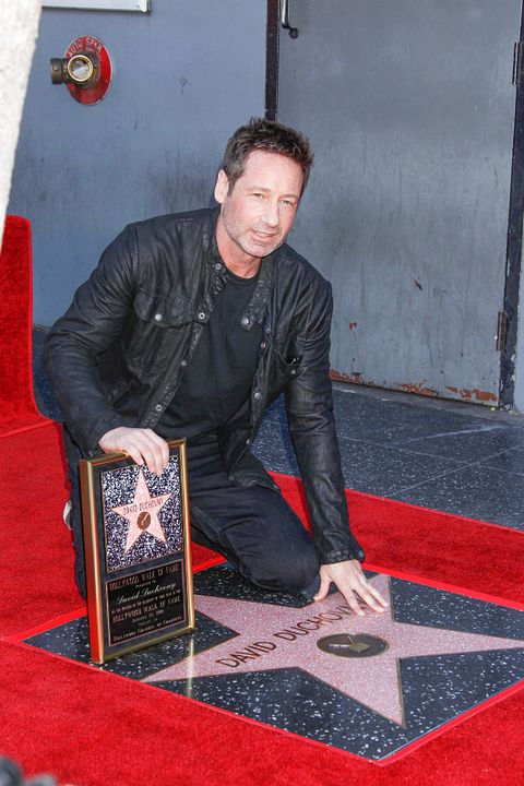 Vignette (magazine) David Duchovny
