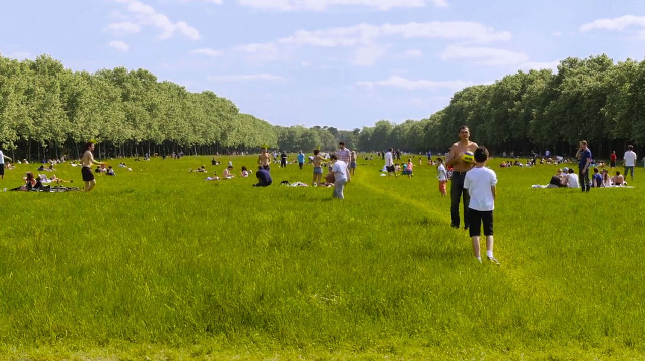 The Woods Dreams Are Made of : Bild