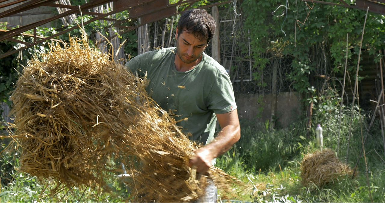 Le Potager de mon grand-père : Bild