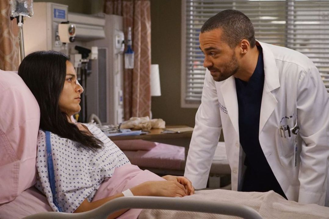 Grey's Anatomy - Die jungen Ärzte : Bild Jesse Williams, Maya Stojan