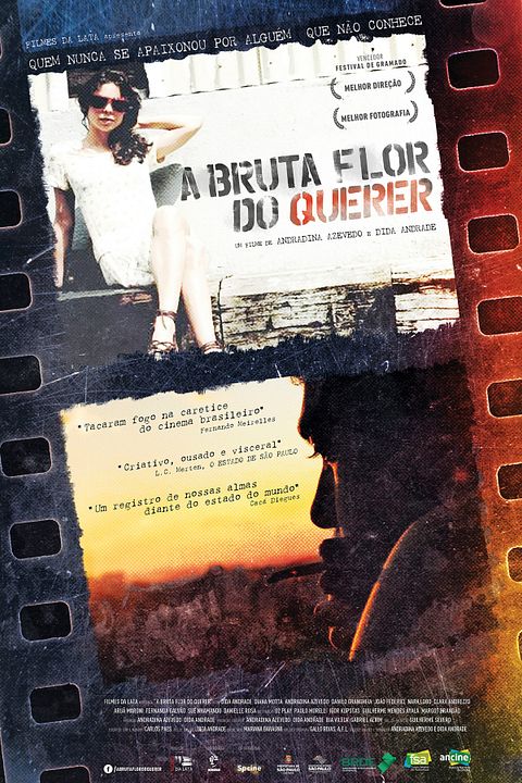 A Bruta Flor do Querer : Kinoposter