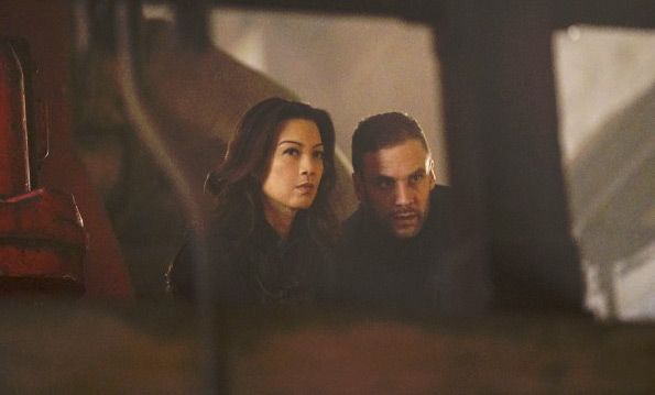 Marvel's Agents Of S.H.I.E.L.D. : Bild Nick Blood, Ming-Na Wen