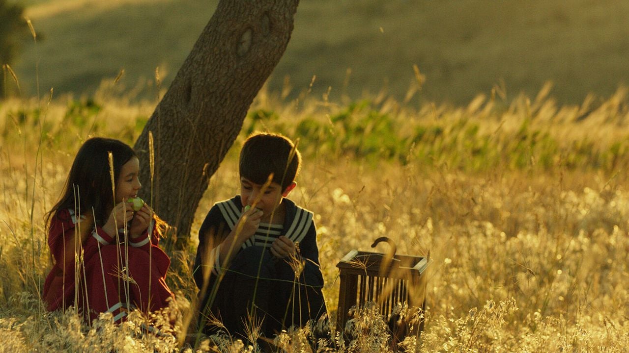 Yitik Kuşlar : Bild