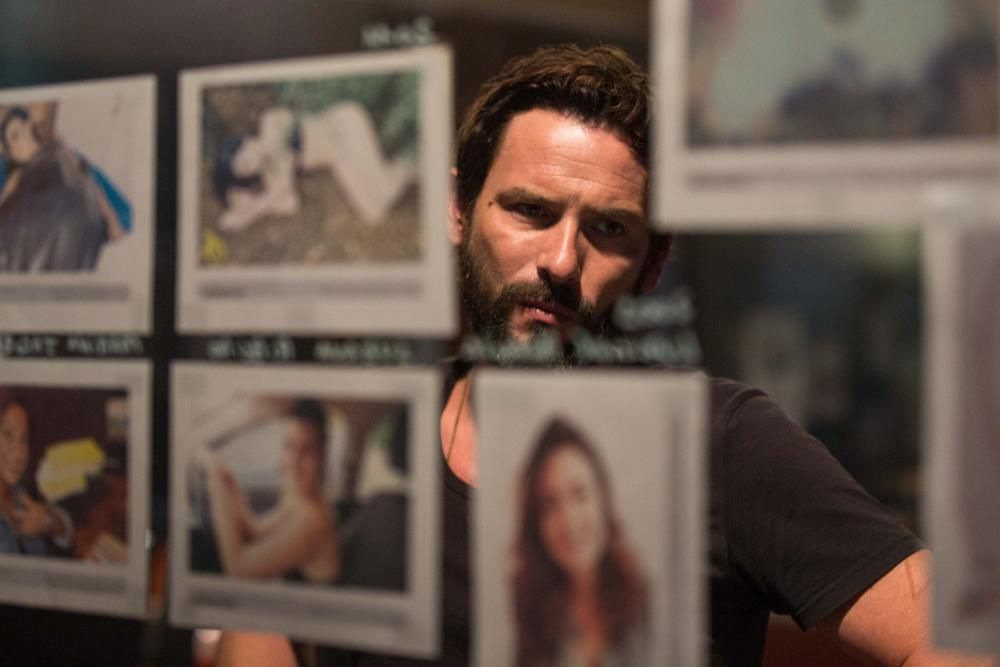 Bild Sagamore Stévenin