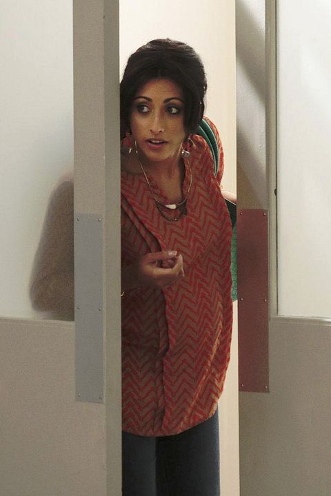 Royal Pains : Bild Reshma Shetty