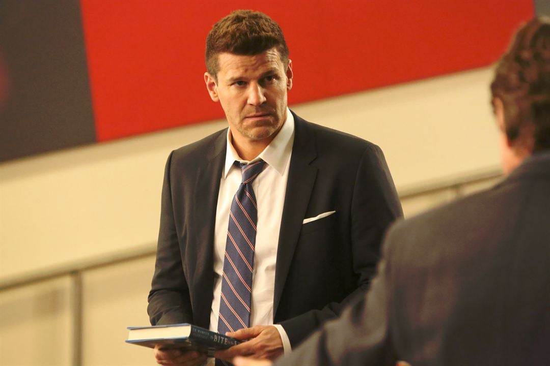 Bild David Boreanaz