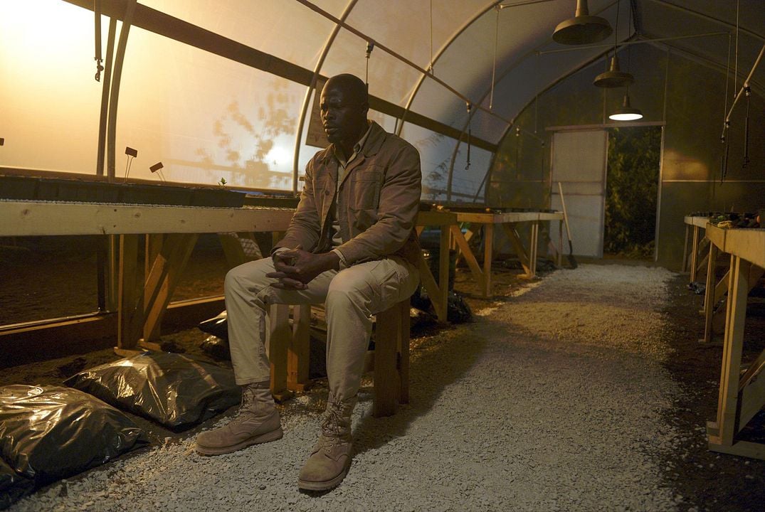 Wayward Pines : Bild Djimon Hounsou