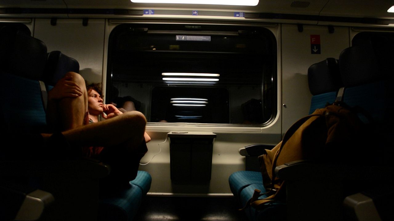 Multiple Schicksale : Bild