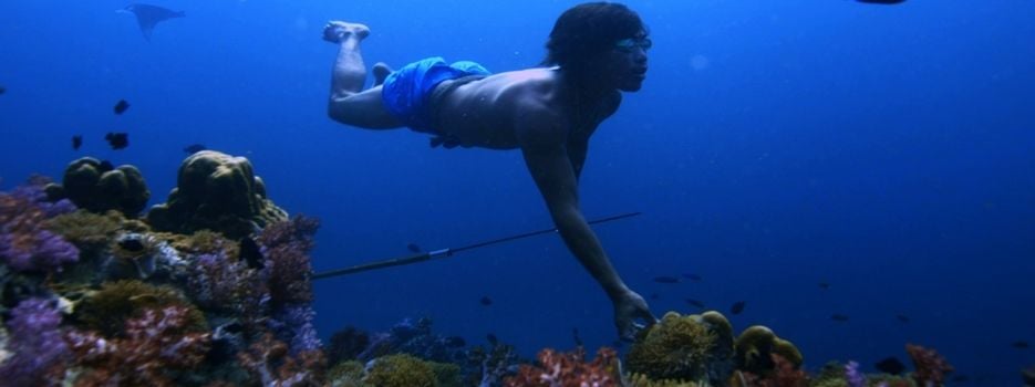 No Word for Worry : Bild