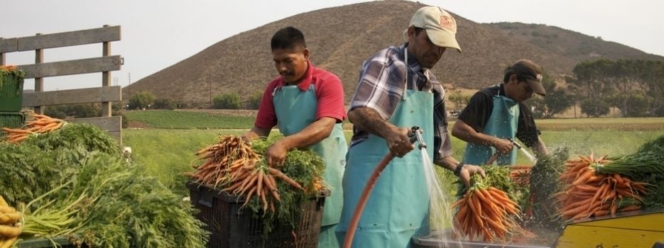 In Organic We Trust : Bild