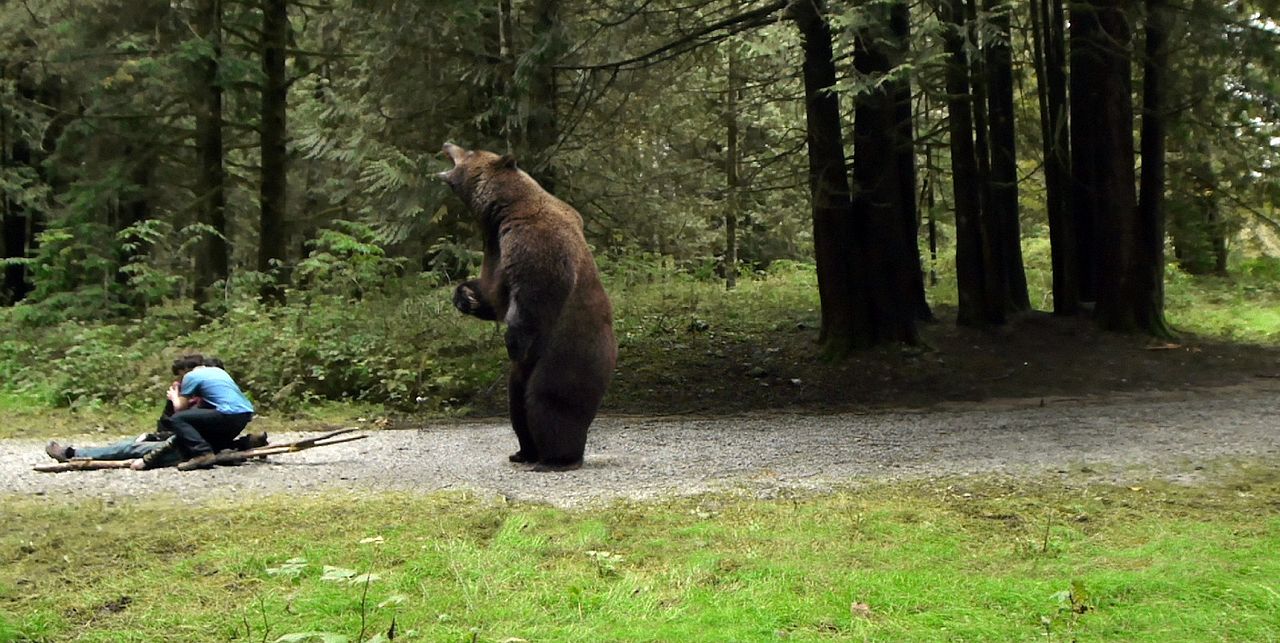 Ferien in der Wildnis : Bild Connor Beardmore
