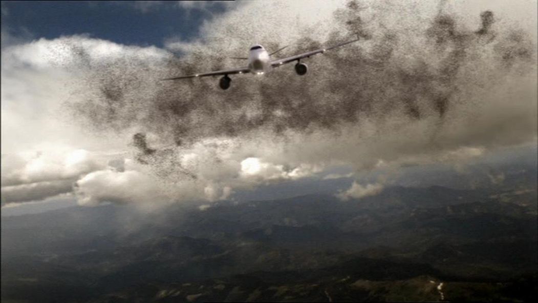 Todesschwarm - Heuschrecken greifen an : Bild