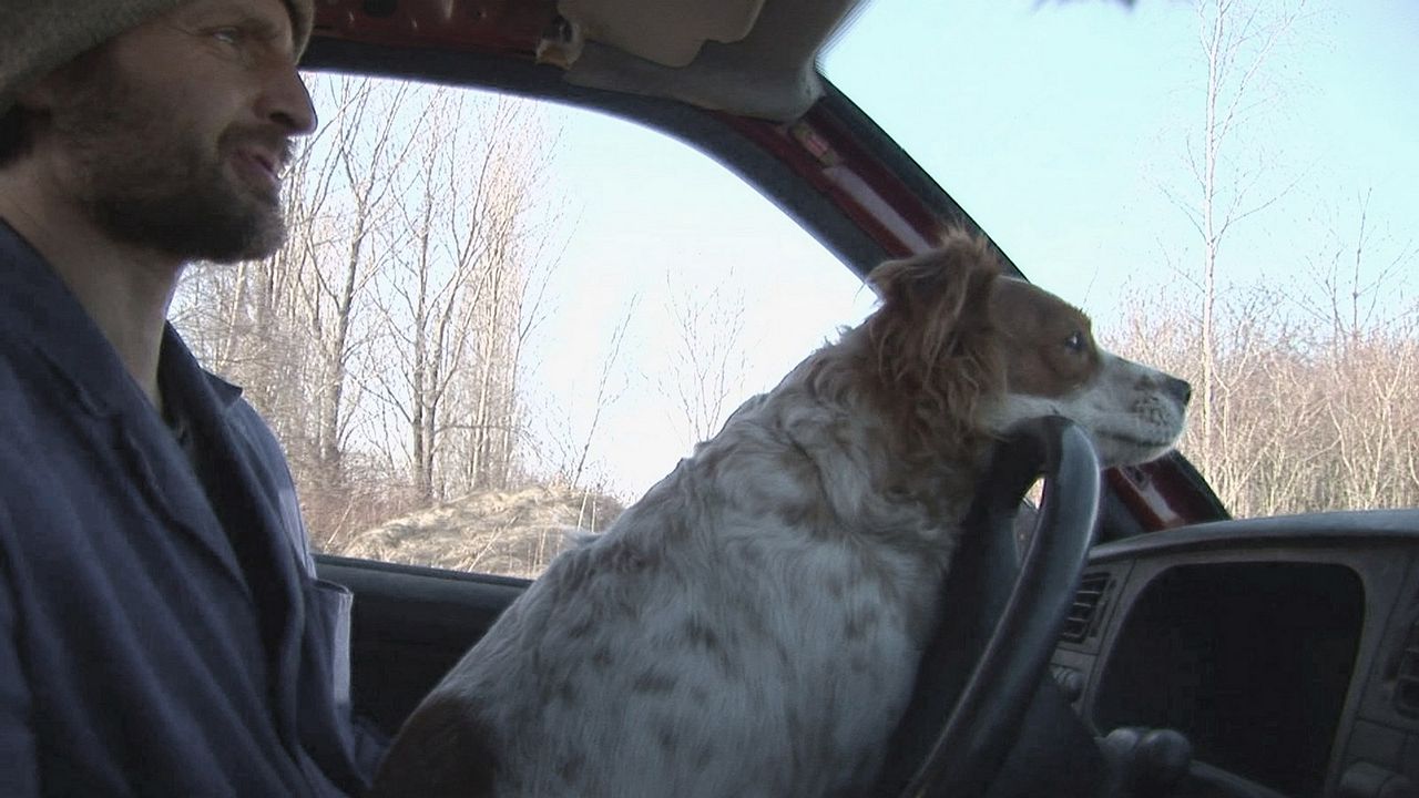 Land am Wasser : Bild Silvio Tannert