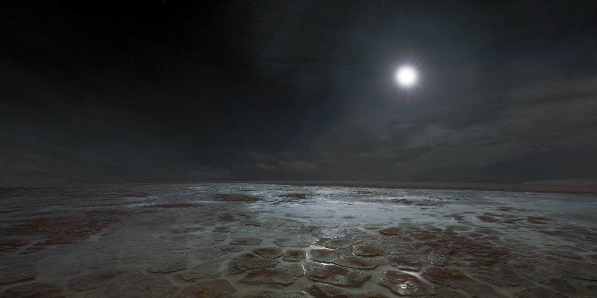 Voyage of Time: Life's Journey : Bild