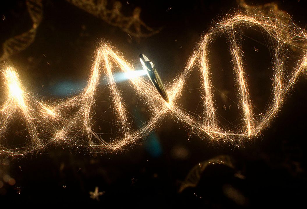 Voyage of Time: Life's Journey : Bild