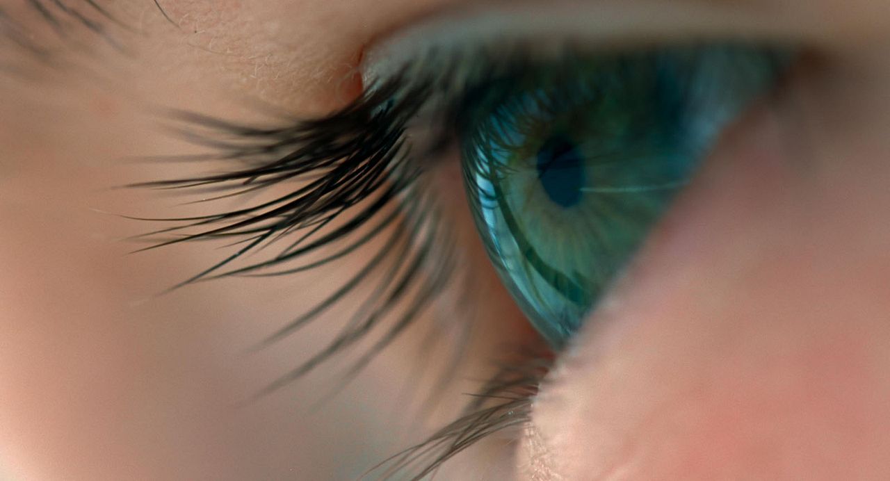 Voyage of Time: Life's Journey : Bild