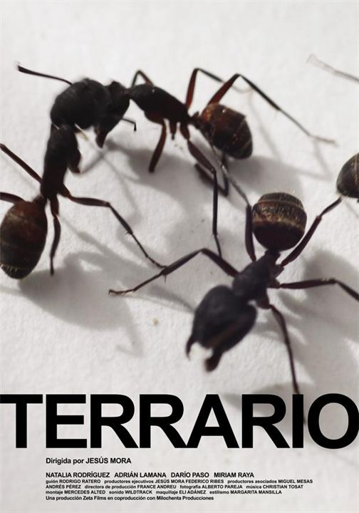 Terrario : Kinoposter