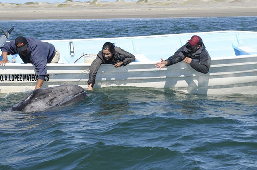 The Dream of Lu : Bild Úrsula Pruneda