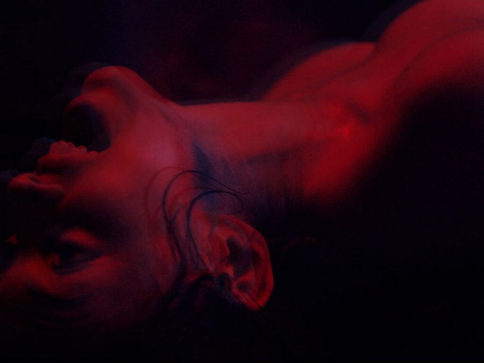 We Are The Flesh : Bild María Evoli