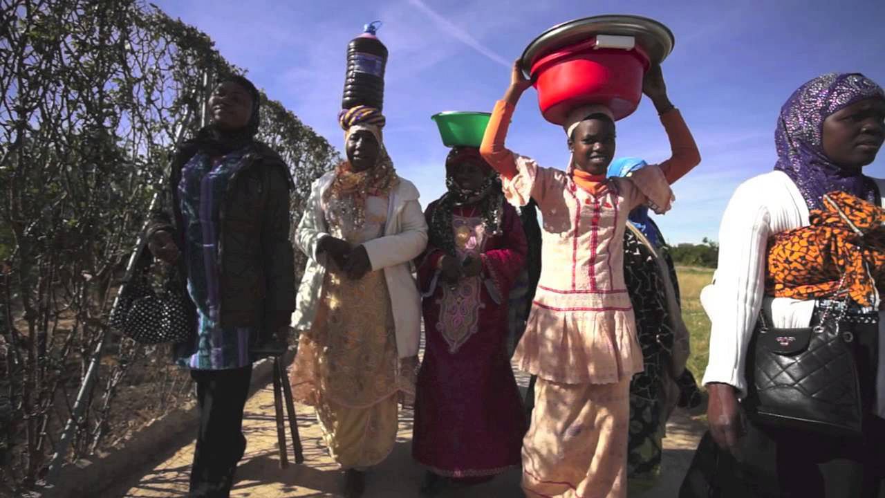 Manzanas, pollos y quimeras : Bild