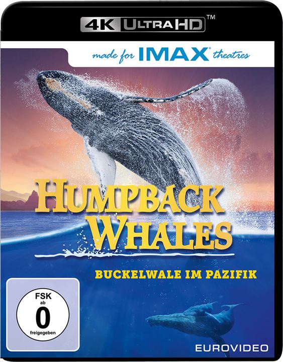 Humpback Whales - Buckelwale im Pazifik : Kinoposter