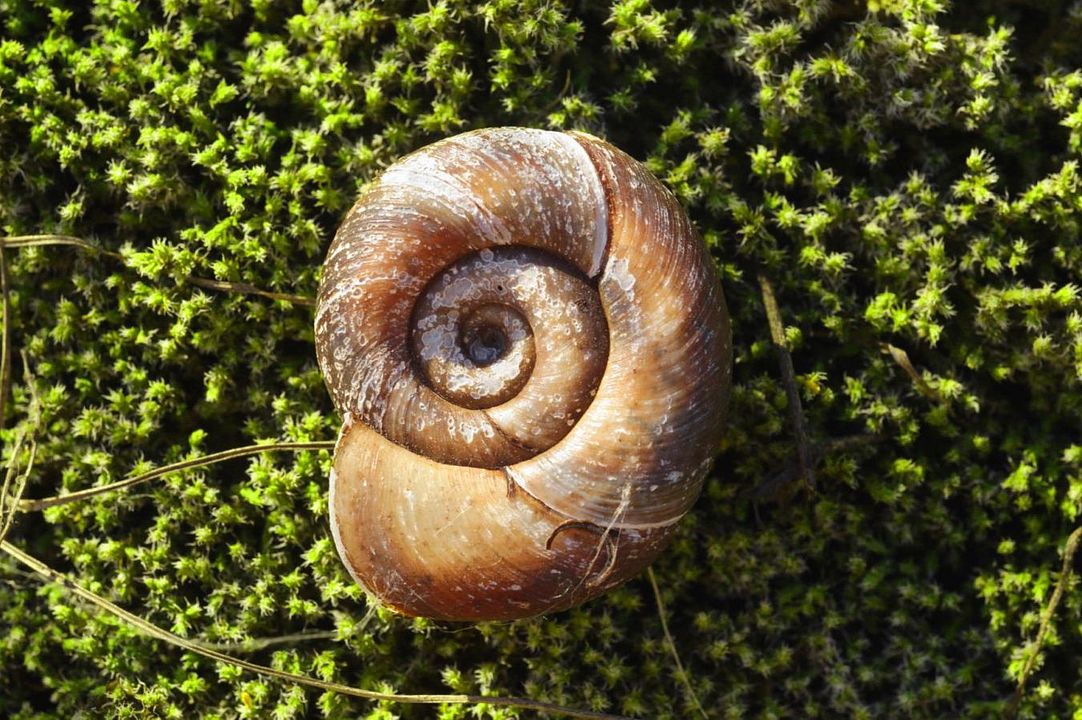 15 Corners of the World : Bild