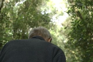 A Destruição de Bernardet : Bild