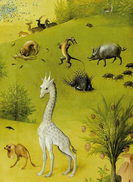 Hieronymus Bosch – Garten der Lüste : Bild