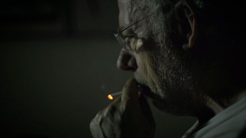 Vivir y Otras Ficciones : Bild