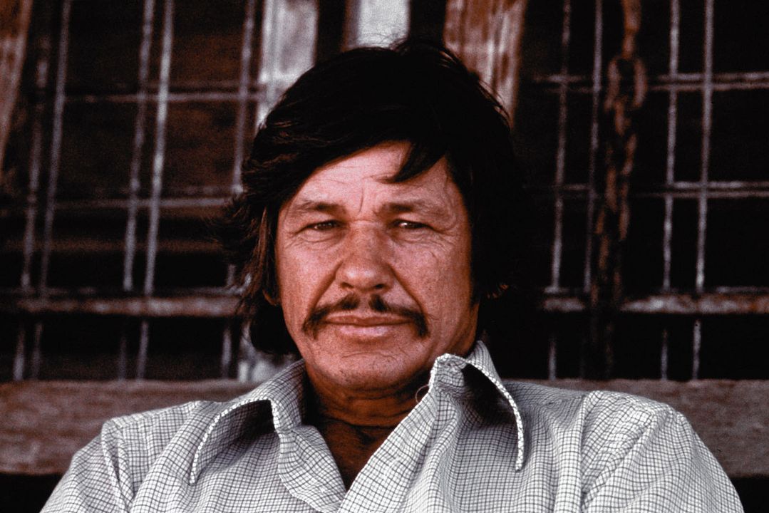 Das Gesetz bin ich : Bild