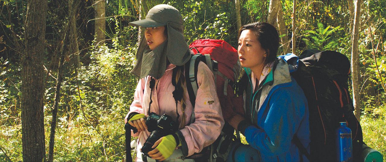 Der Ornithologe : Bild