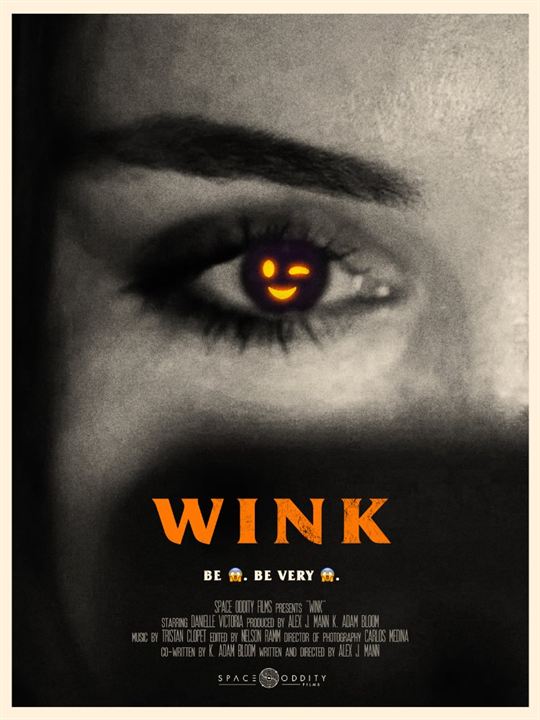 Wink : Kinoposter