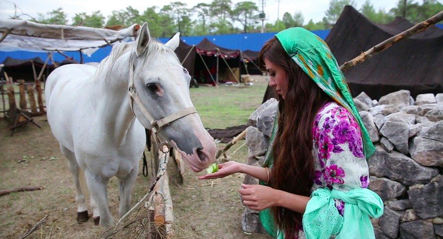 Ekşi Elmalar : Bild